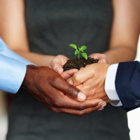 we-all-have-potential-growth-closeup-shot-group-businesspeople-holding-plant-growing-out-soil